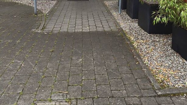 A building entrance with a red awning, a wooden door, and a paved pathway leading to it. - Superior Studio for 3 in Konstanz (Konstanz)