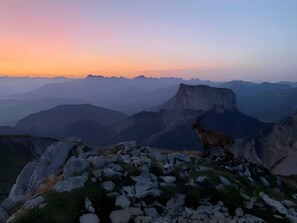 Miscellaneous - Cream Gîte – In the Heart of the Vercors Regional Natural Park (Saint-Agnan en Vercors)