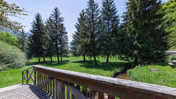 Une terrasse en bois dotée d’une rambarde, entourée d’une zone herbeuse parsemée d’arbres.
