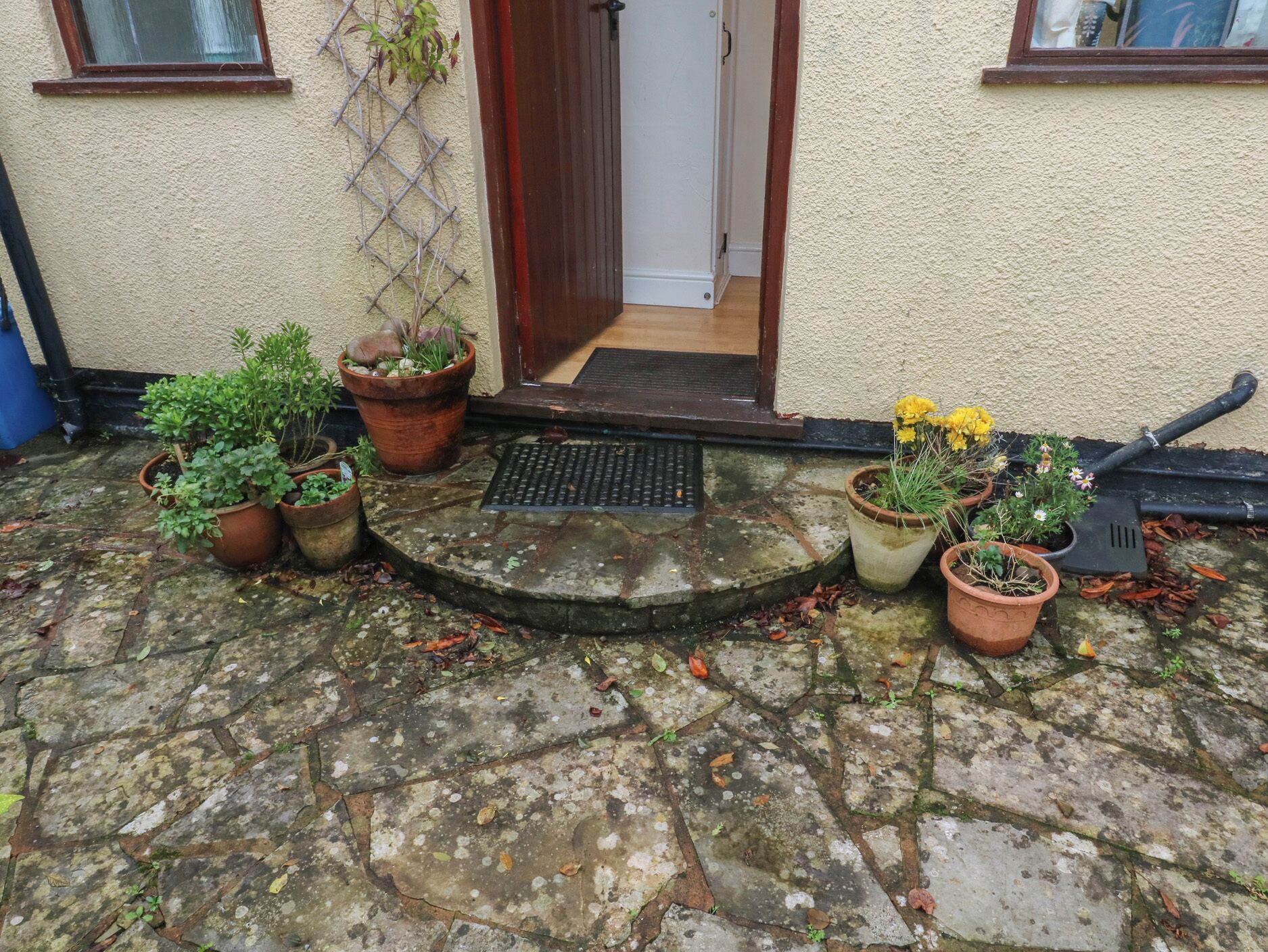 A stone-paved entrance with potted plants and a door leading inside.