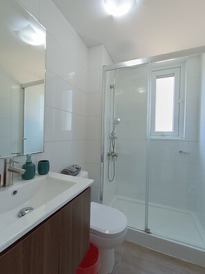 Hair dryer, towels, toilet paper - Kasa and family 221 (Valdivia)