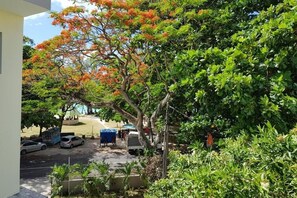 Property grounds - Pereybere Beach Apartments: Studio with Balcony (Pereybere)