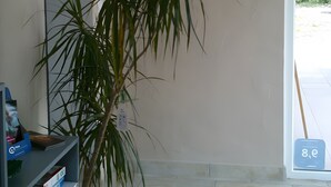 Una habitación con una planta en maceta, una estantería, un cuadro abstracto enmarcado y un suelo de baldosas.