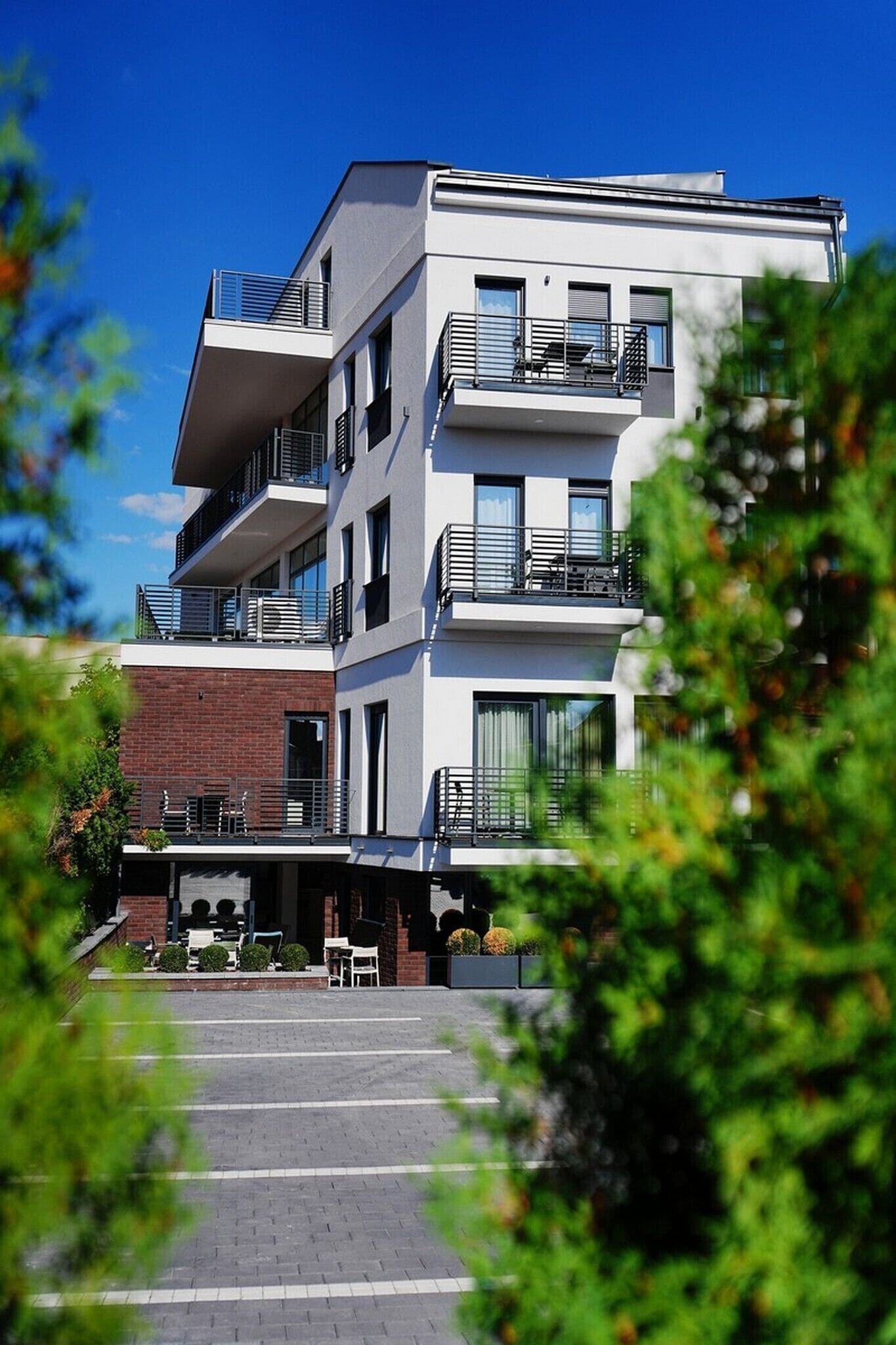 Suite estudio clásica | Wifi gratis 