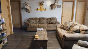 Smart TV, video games, DVD player