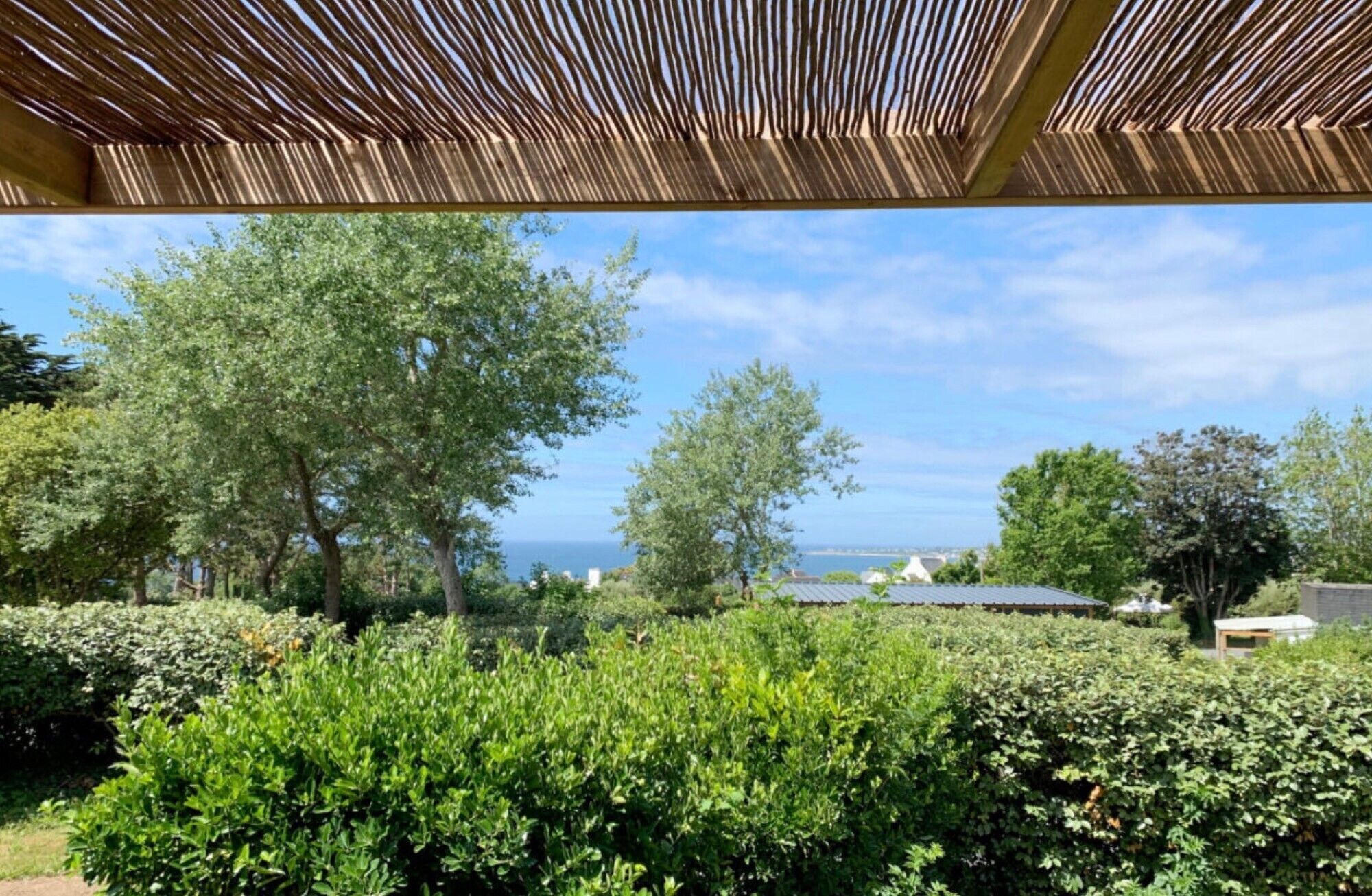 Área da propriedade