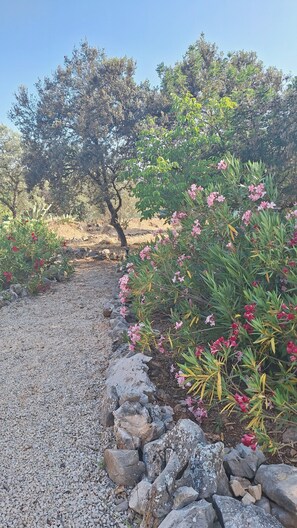 Property grounds - In the middle of nature with private pool! Family villa Los Arrendajos (Montefrío)