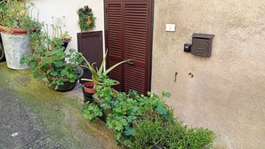 Une cour avec des plantes en pot, une porte marron et une petite fenêtre.