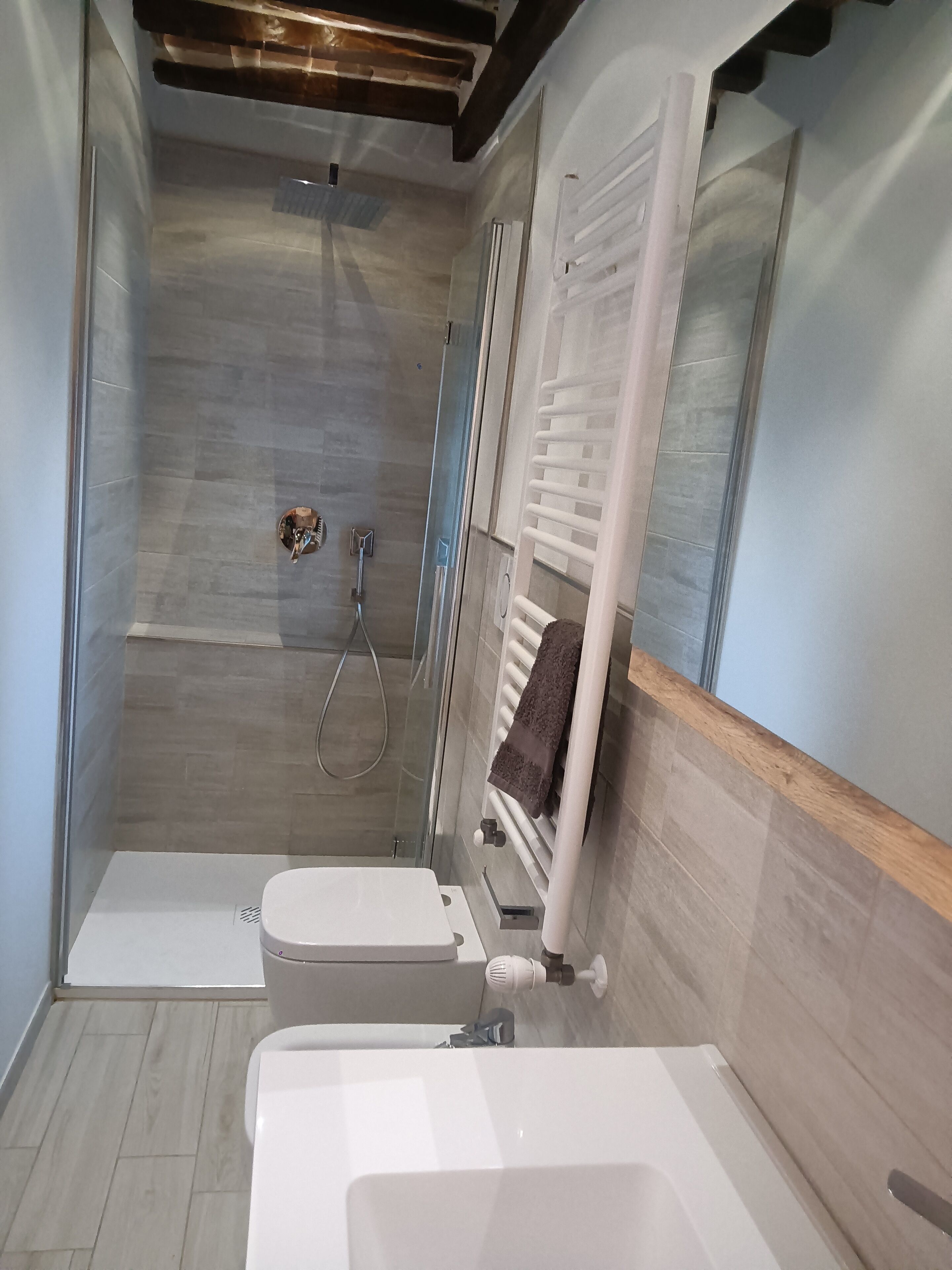 Shower, hair dryer, bidet, towels