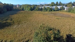 A field with buildings in the background. - Kasa and family 809 (Valdivia)