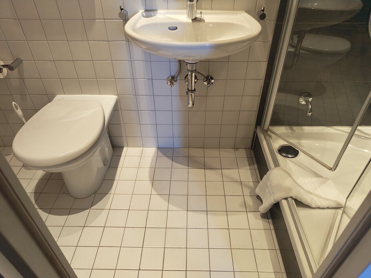Une salle de bain équipée de toilettes, d’un lavabo et d’une douche à parois en verre.