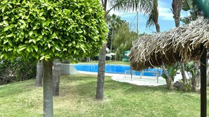 Un área de piscina con una piscina azul cristalina, rodeada de césped y palmeras.