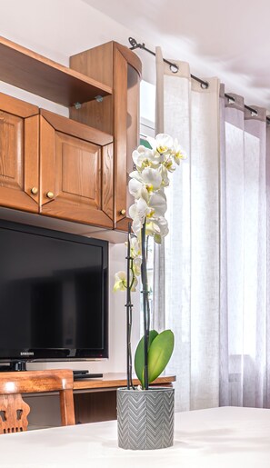 A living room with a television, wooden cabinets, a potted orchid, and a chair. - Pleasant and cozy, offering relaxation and history just a stone's throw from the Portiuncula. (Santa Maria Degli Angeli - Assisi)
