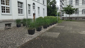 Um edifício com uma fileira de vasos de plantas ao lado.
