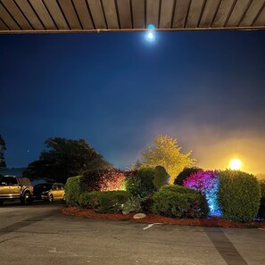 المنطقة المحيطة بالمنشأة