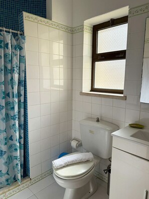 Shower, hair dryer, towels - Casa das Felicidades (Carvoeiro)