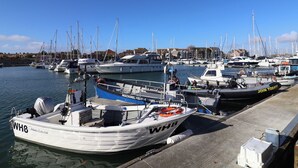 A marina with several boats docked, a clear sky, and buildings in the background. - Arum (Portland)