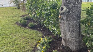 A landscaped area with a large tree, a grassy lawn, and a body of water in the background. - “Premier Host ⭐ Lakefront 3BR Private Dock Stunning Sebring Escape, Golf & Races (Sebring)