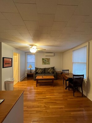 TV, fireplace - Gulf Stream House - Unit 12 (Hammondsport)