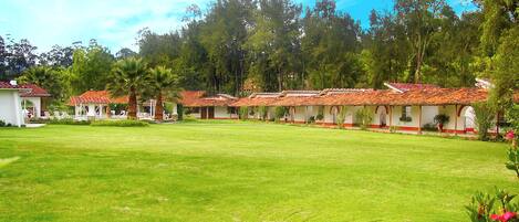 Detall de l'interior