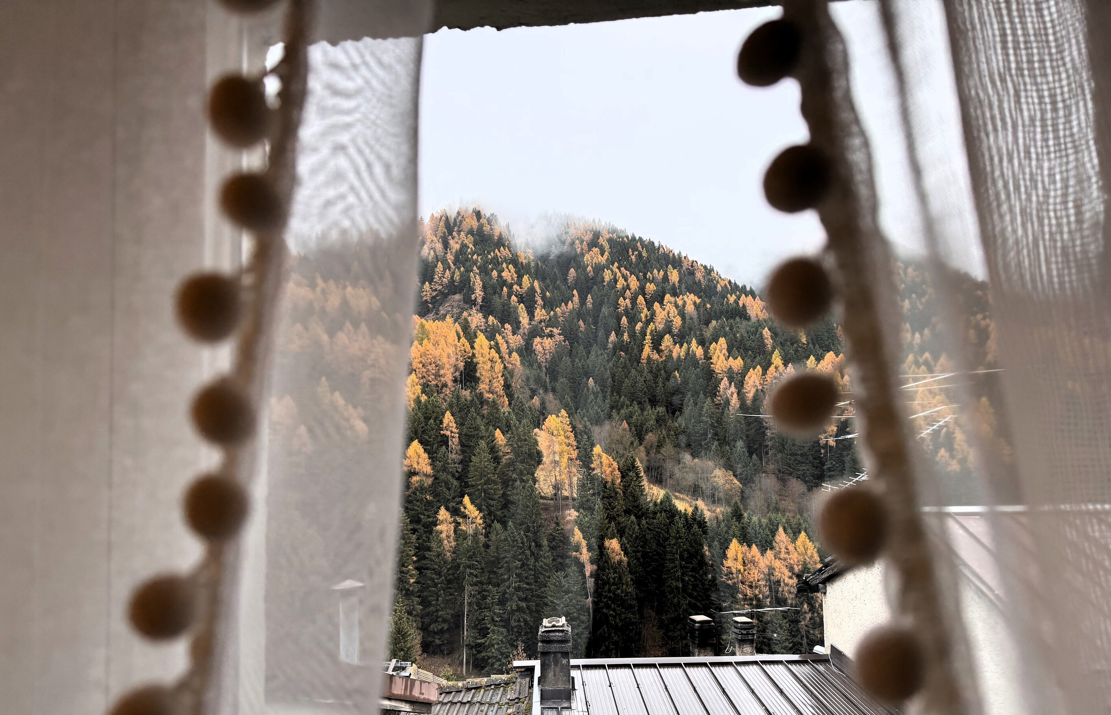 Vista a través de una ventana con cortina, mostrando una ladera boscosa.