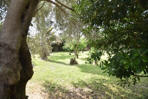 Parco della struttura