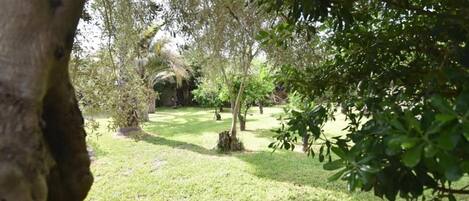 Àrea exterior de l'allotjament