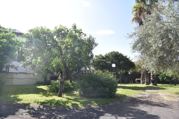 Parco della struttura