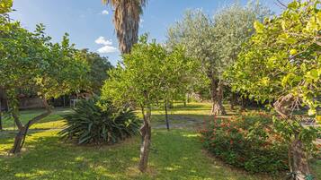 Overnatningsstedets område