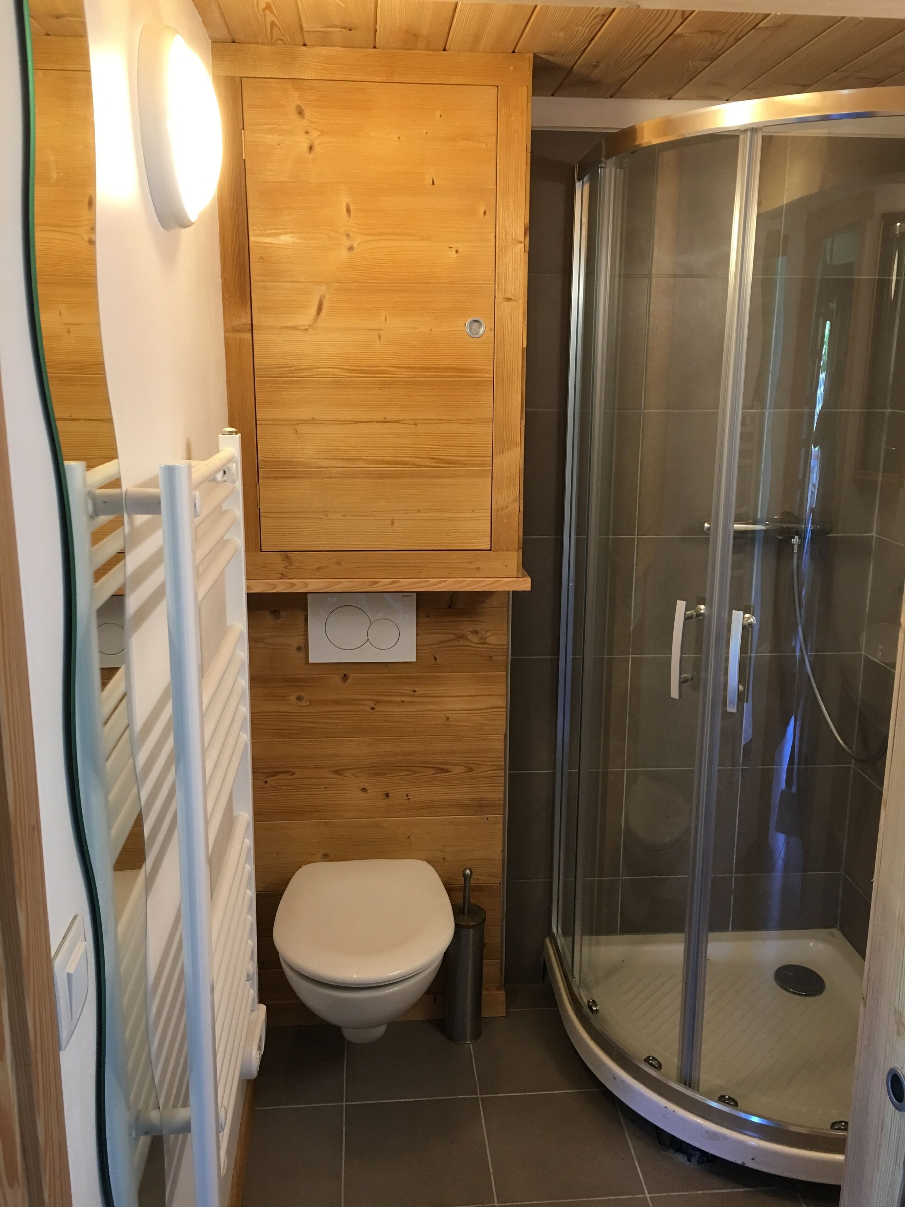 Shower, towels, toilet paper