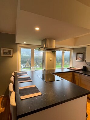 Kühlschrank, Ofen, Herdplatte, Geschirrspüler