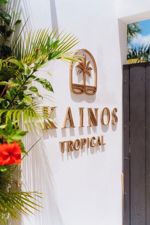 Eine Wand mit dem Schriftzug 'KAINOS TROPICAL' und einem Palmenlogo.