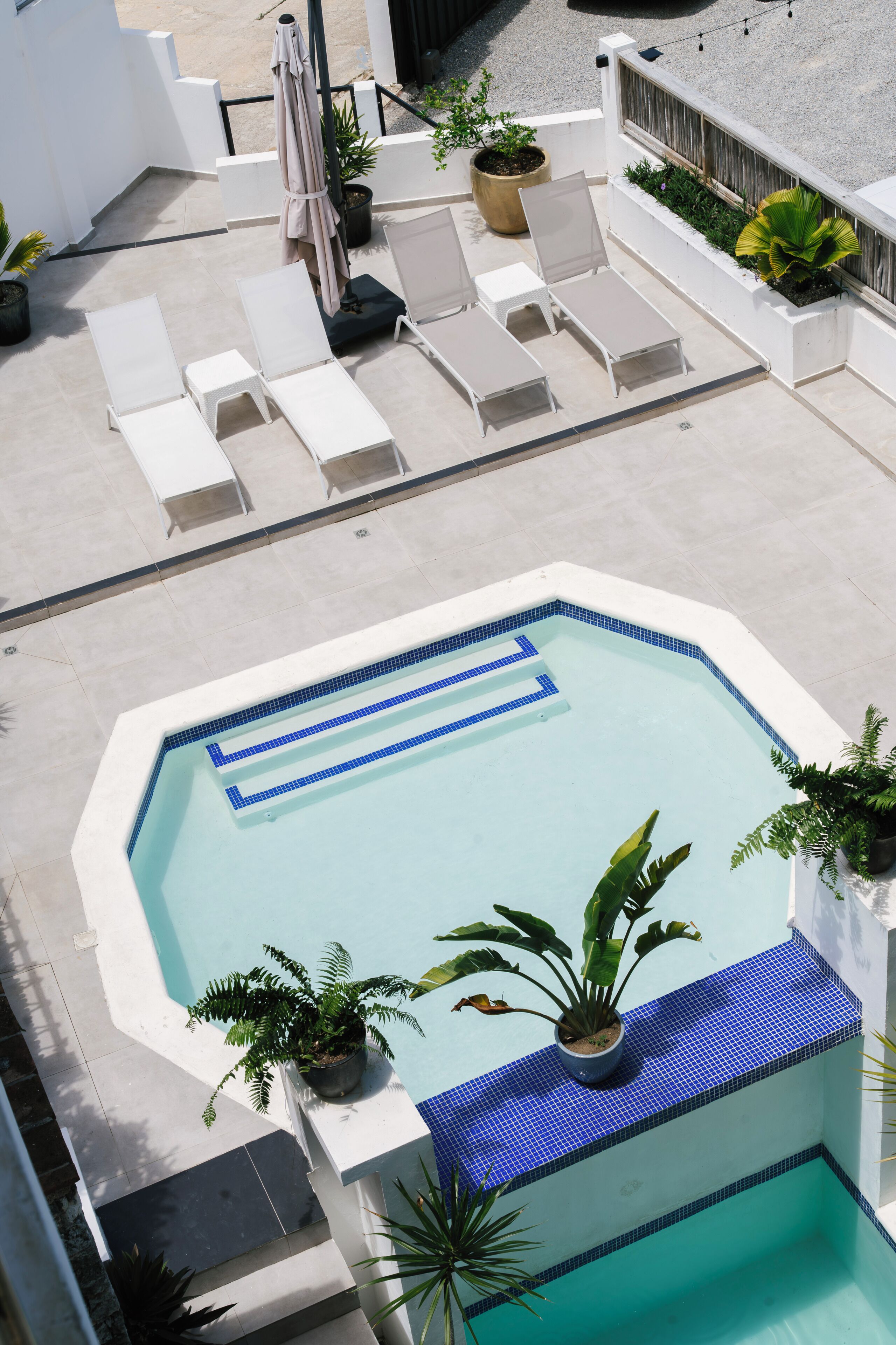 A rooftop pool with lounge chairs, potted plants, and a tiled deck.