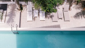 Vista aérea de una piscina con sillas de descanso y palmeras.