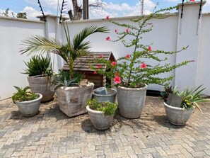 Property grounds - Luxurious 6 bed + 6 baths in Sunridge - 2299 (Harare)