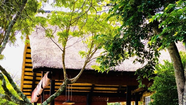 Estructura de techo de paja con una escalera de madera que lleva a ella, rodeada de exuberante vegetación y un sendero de jardín.