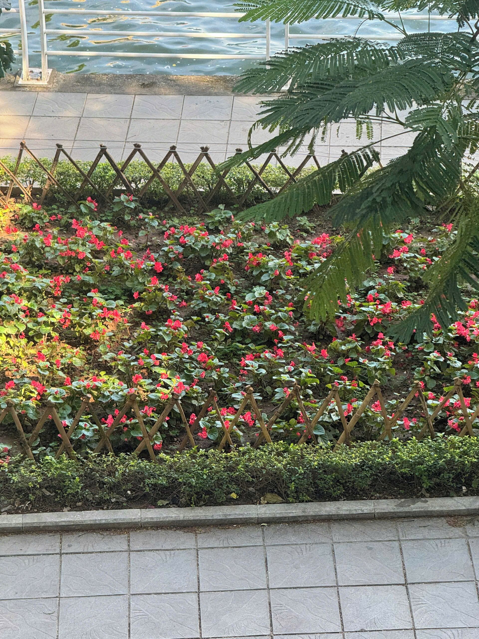 豪華開放式客房, 露台, 城市景 | 客房景觀