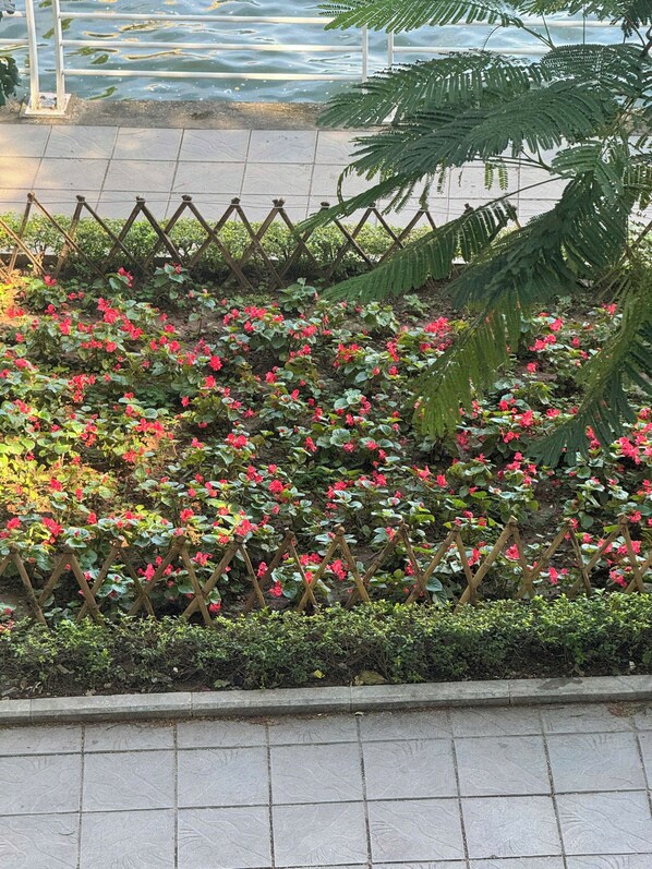 Vista desde la habitación