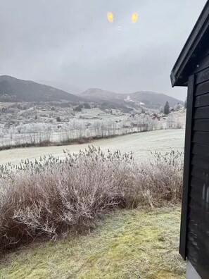 Área da propriedade