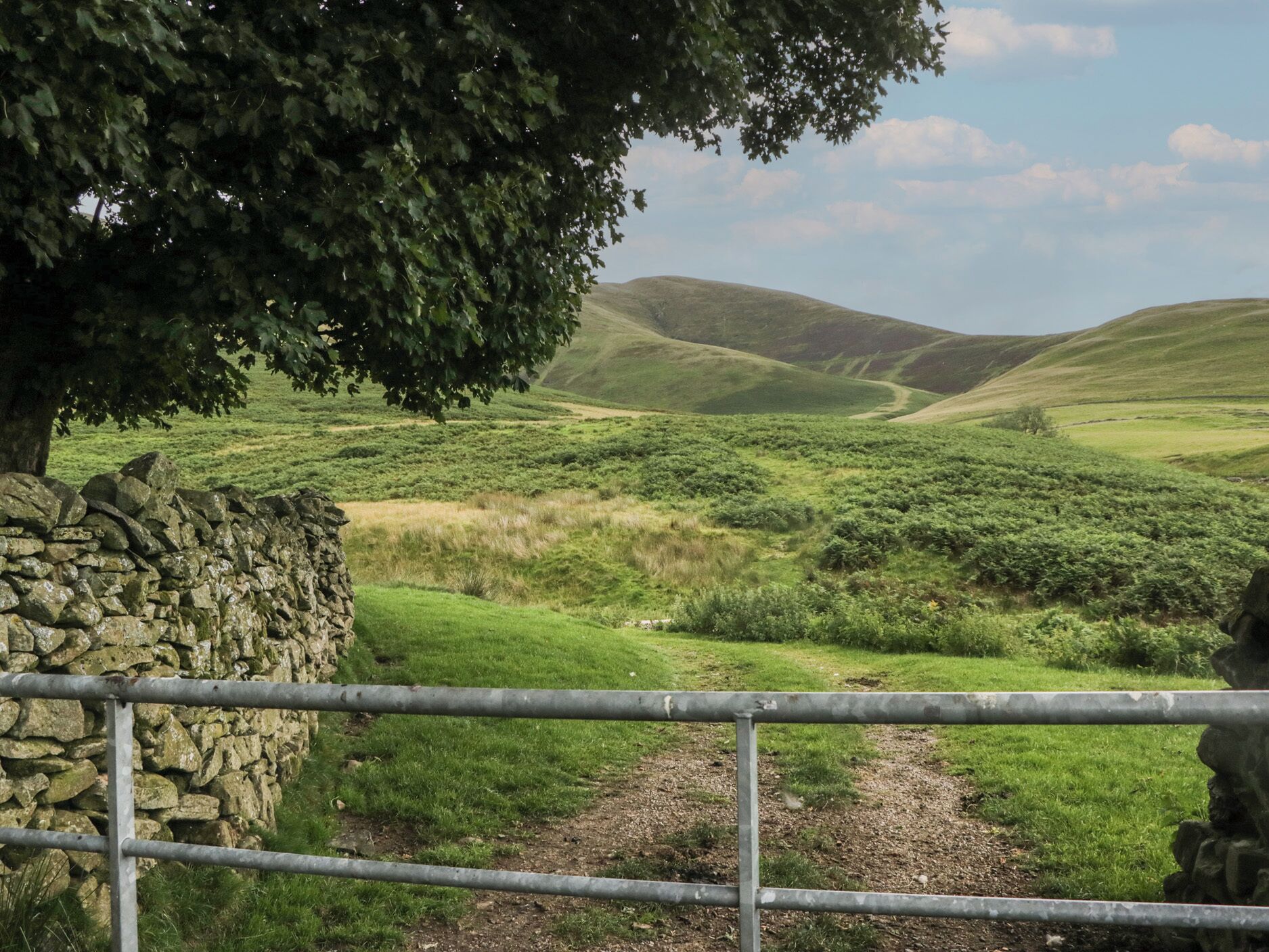 المنطقة المحيطة بالمنشأة