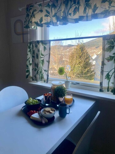 Unique family apartment in the middle of Voss