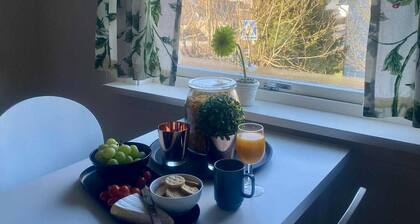 Unique family apartment in the middle of Voss