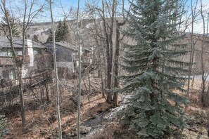 Property grounds - Cozy Vail Retreat, On Shuttle Route, Mountain View (Vail)
