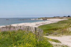 A coastal landscape with a sandy beach, a wooden fence, and a grassy area with wildflowers.