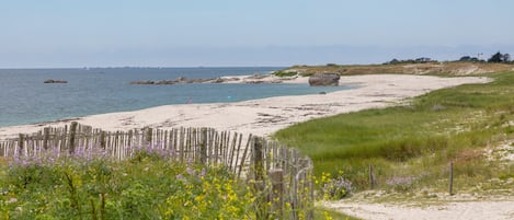 Playa en los alrededores