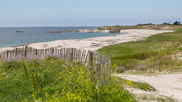 Een kustlandschap met een zandstrand, een houten omheining en een grasveld met wilde bloemen.
