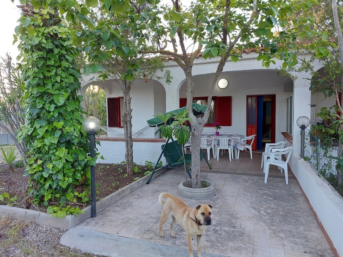 Imagem do perfil do anfitrião