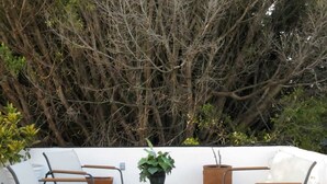 A rooftop patio with two white chairs, a small table, and a potted plant. - NIDO Hotel (San Miguel de Allende)