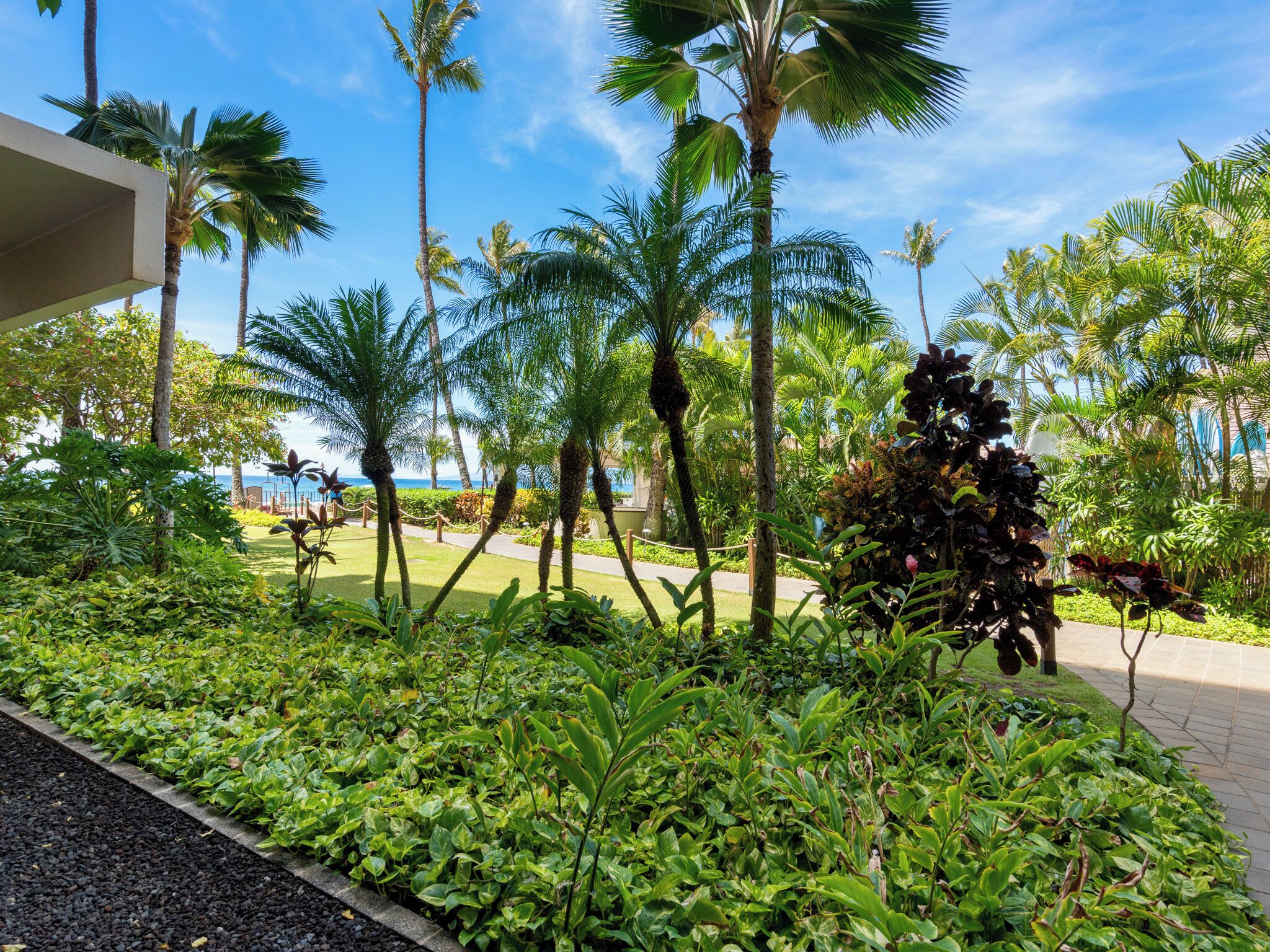 Condo, 1 Bedroom (313) | Front of property