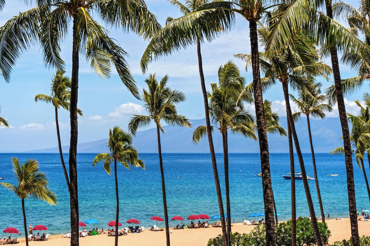 Íbúð - 2 svefnherbergi (442) | Framhlið gististaðar